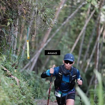Runner Photo 5215847