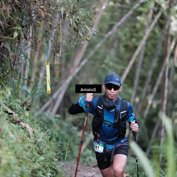 Runner Photo 5215858