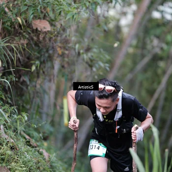 Runner Photo 5215864