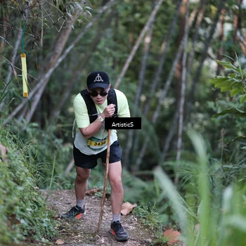 Runner Photo 5215990