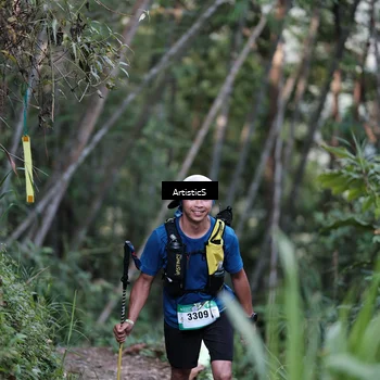 Runner Photo 5215991