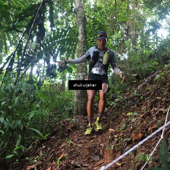 Runner Photo 5216048