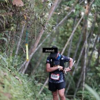 Runner Photo 5216145