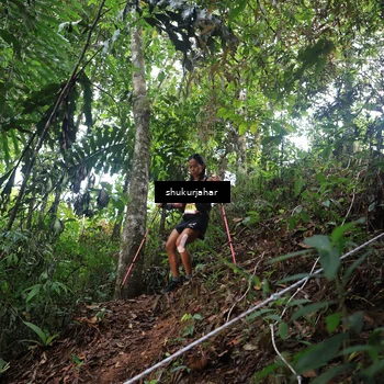Runner Photo 5216153