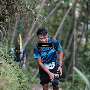 Runner Photo 5216191