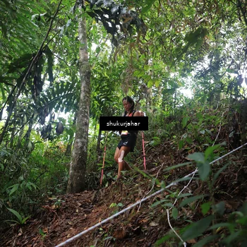 Runner Photo 5216195