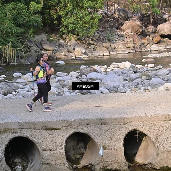 Runner Photo 5216205