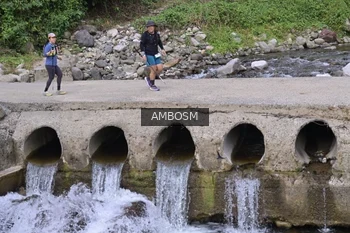 Runner Photo 5216214
