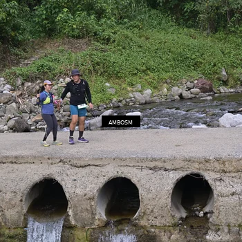 Runner Photo 5216223