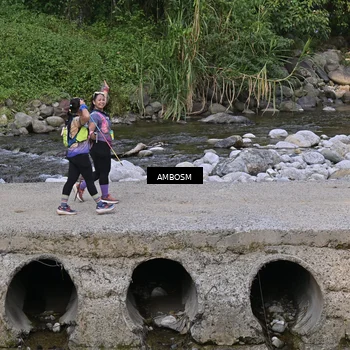 Runner Photo 5216227
