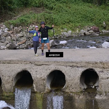 Runner Photo 5216228