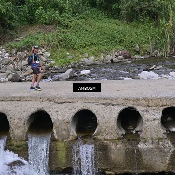 Runner Photo 5216233