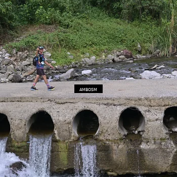 Runner Photo 5216237