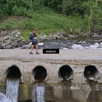 Runner Photo 5216238