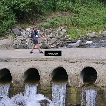 Runner Photo 5216242