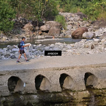 Runner Photo 5216244