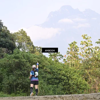 Runner Photo 5216319