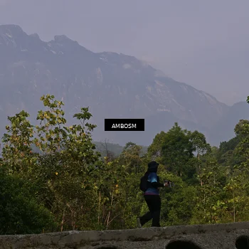 Runner Photo 5216419