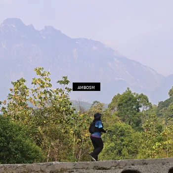 Runner Photo 5216420
