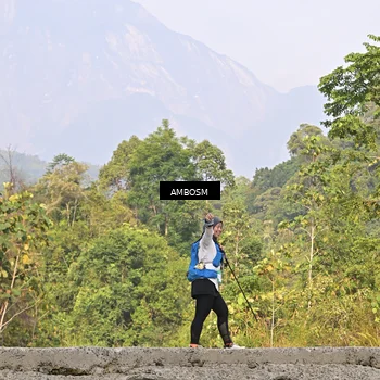 Runner Photo 5216447