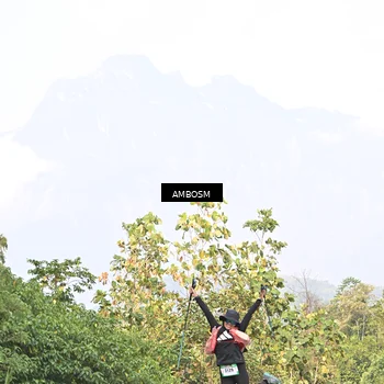 Runner Photo 5216461