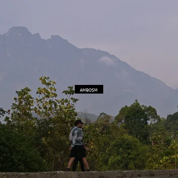 Runner Photo 5216531