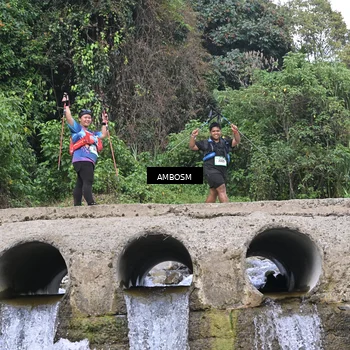Runner Photo 5216564