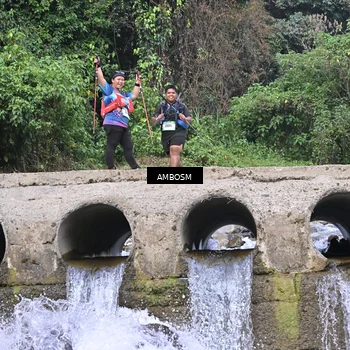 Runner Photo 5216565