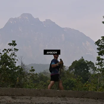 Runner Photo 5216660