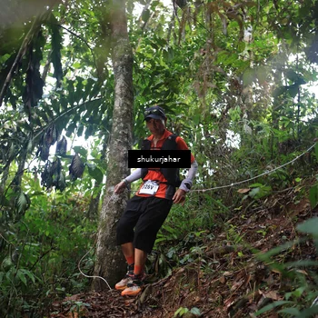 Runner Photo 5216672