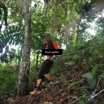 Runner Photo 5216704