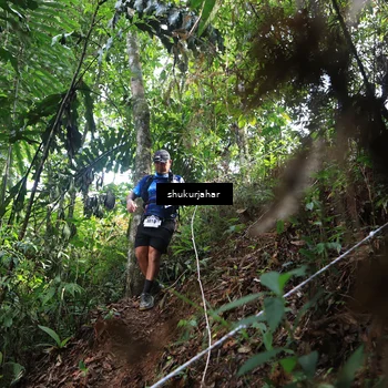 Runner Photo 5216777