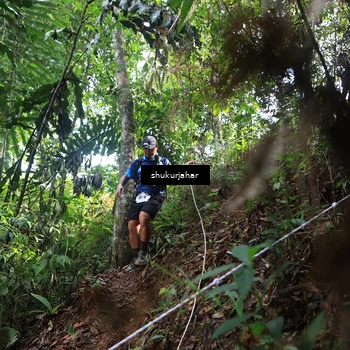 Runner Photo 5216792