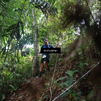 Runner Photo 5216795