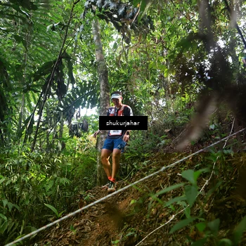Runner Photo 5216937