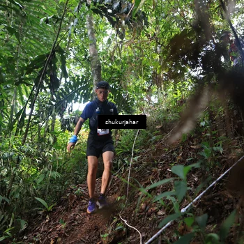 Runner Photo 5217068