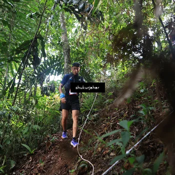 Runner Photo 5217095