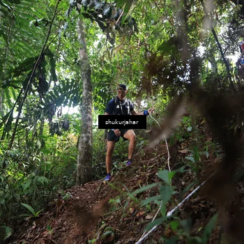 Runner Photo 5217128