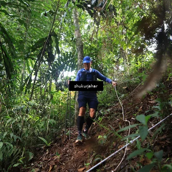 Runner Photo 5217265