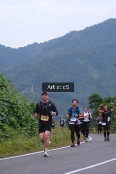 Runner Photo 5217603
