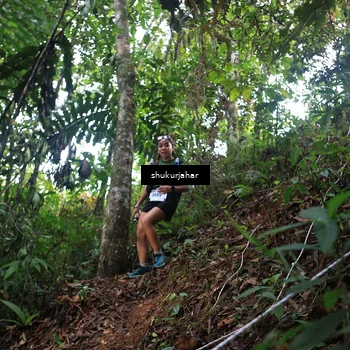 Runner Photo 5217653