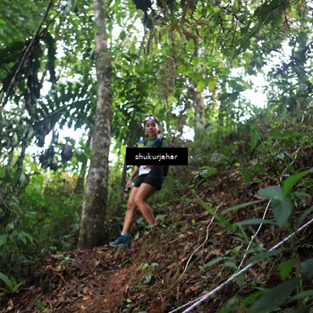Runner Photo 5217665