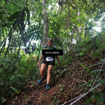 Runner Photo 5217704