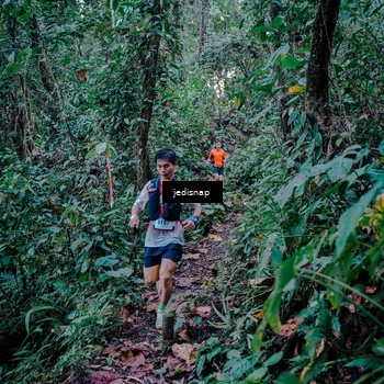 Runner Photo 5217714