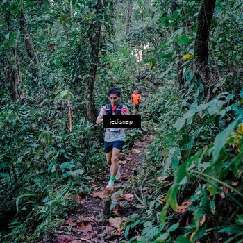 Runner Photo 5217715