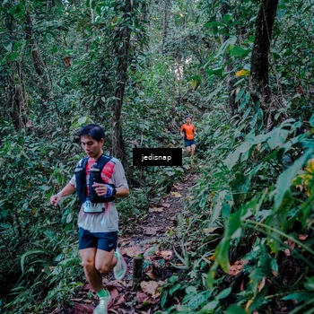 Runner Photo 5217726