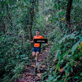 Runner Photo 5217727