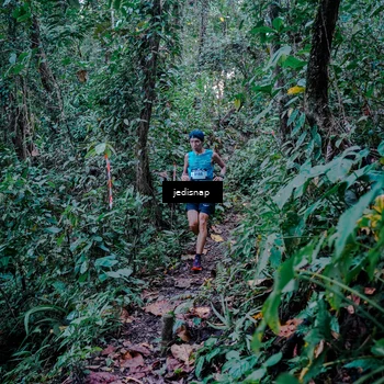 Runner Photo 5217732