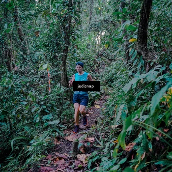Runner Photo 5217735