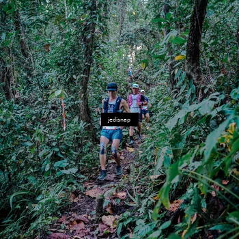 Runner Photo 5217740